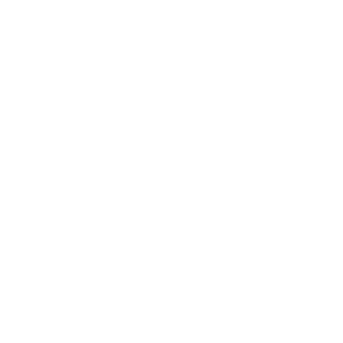Lean Maximsada Logo